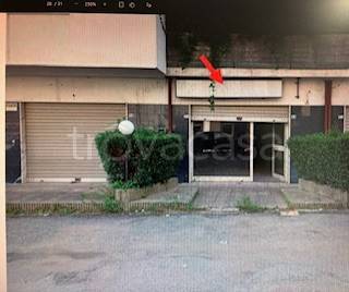 appartamento in vendita a Montalto Uffugo