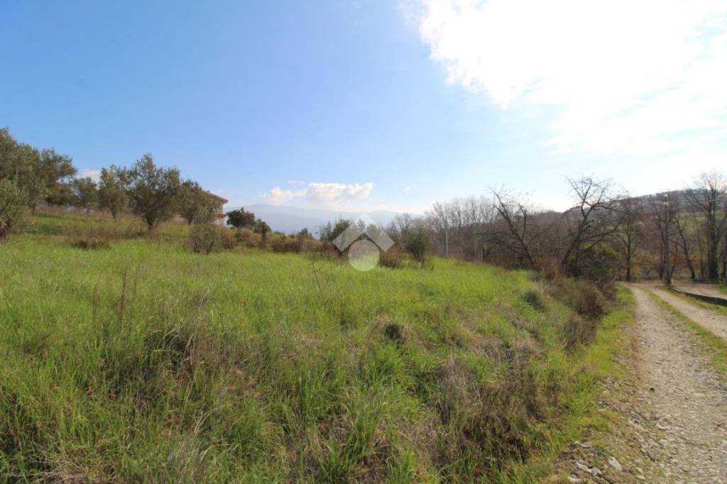 terreno agricolo in vendita a Montalto Uffugo in zona Taverna