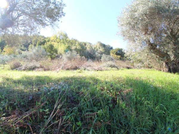 casa indipendente in vendita a Montalto Uffugo in zona Taverna