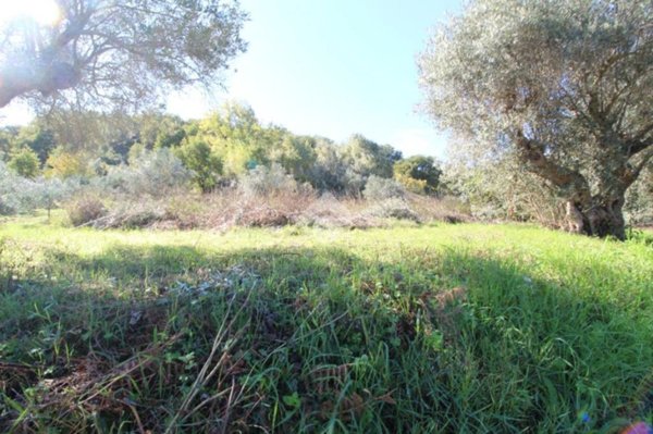 appartamento in vendita a Montalto Uffugo in zona Taverna