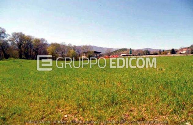 terreno agricolo in vendita a Montalto Uffugo