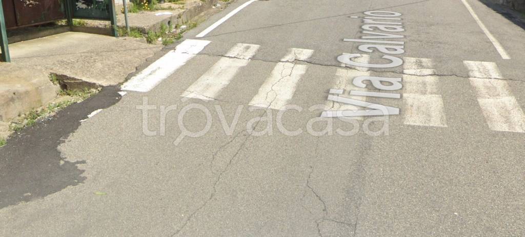 terreno agricolo in vendita a Montalto Uffugo in zona Vaccarizzo