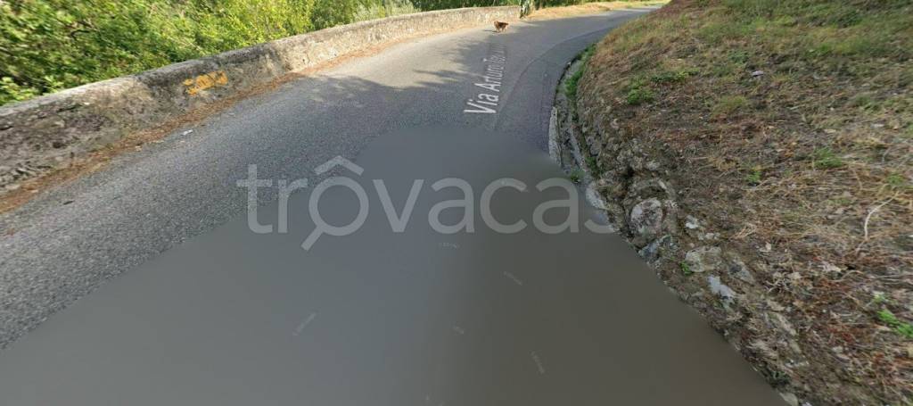 terreno agricolo in vendita a Montalto Uffugo in zona Vaccarizzo