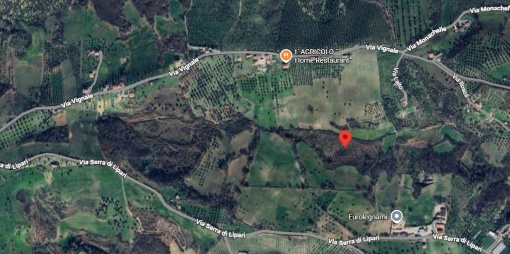 terreno agricolo in vendita a Montalto Uffugo