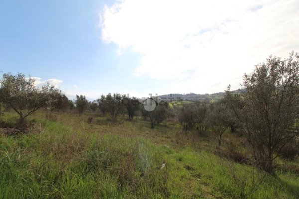 casa indipendente in vendita a Montalto Uffugo in zona Taverna