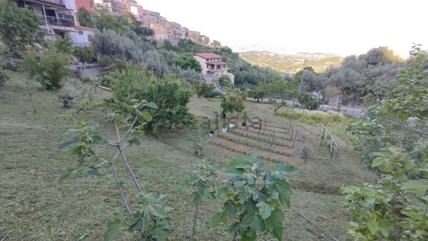 terreno edificabile in vendita a Montalto Uffugo