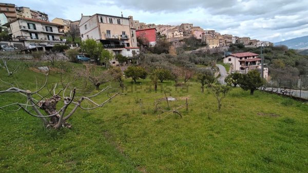 terreno agricolo in vendita a Montalto Uffugo