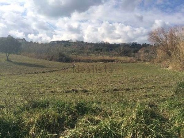 terreno agricolo in vendita a Montalto Uffugo