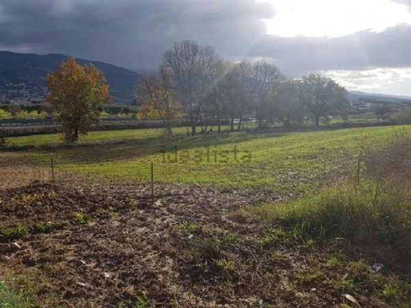 terreno edificabile in vendita a Montalto Uffugo