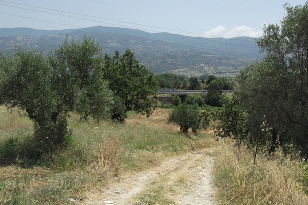 terreno edificabile in vendita a Montalto Uffugo