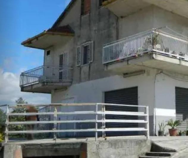 pentavano in vendita a Montalto Uffugo in zona Taverna