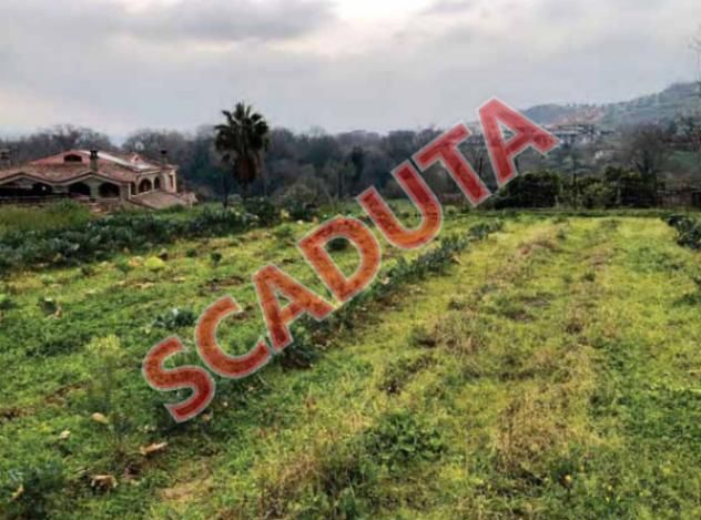 terreno agricolo in vendita a Montalto Uffugo