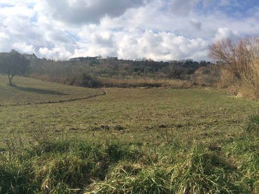 terreno agricolo in vendita a Montalto Uffugo