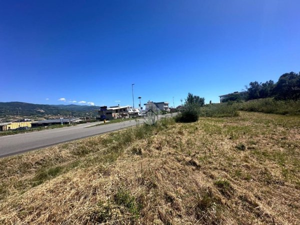terreno agricolo in vendita a Montalto Uffugo