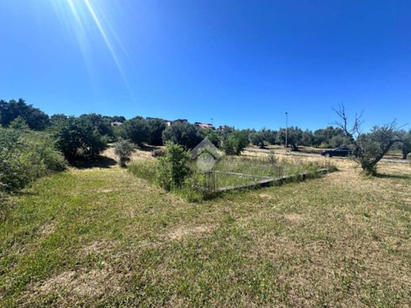 terreno agricolo in vendita a Montalto Uffugo in zona Taverna