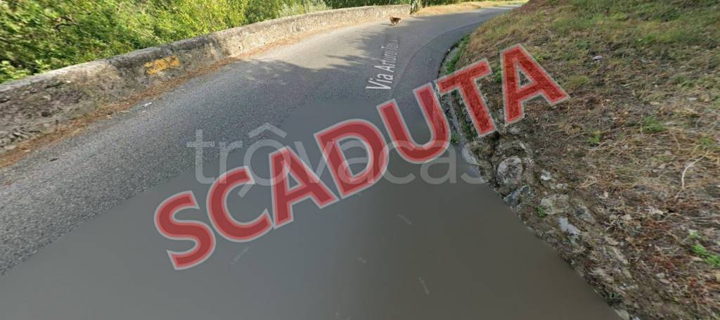 terreno agricolo in vendita a Montalto Uffugo in zona Vaccarizzo