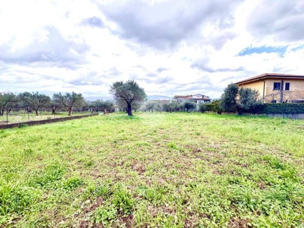 terreno agricolo in vendita a Montalto Uffugo in zona Taverna