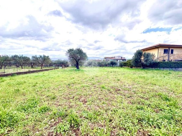 terreno agricolo in vendita a Montalto Uffugo in zona Taverna