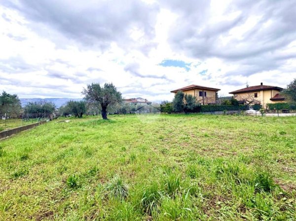 terreno agricolo in vendita a Montalto Uffugo in zona Taverna