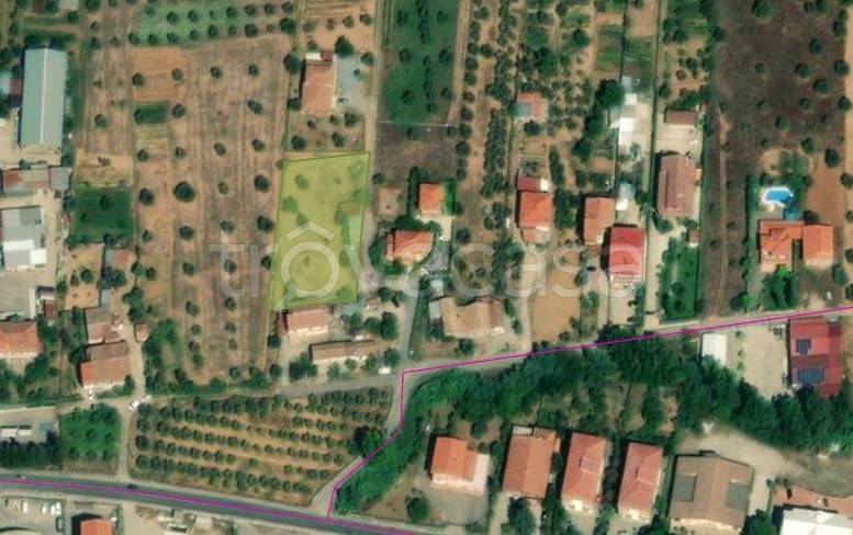 terreno agricolo in vendita a Montalto Uffugo in zona Taverna