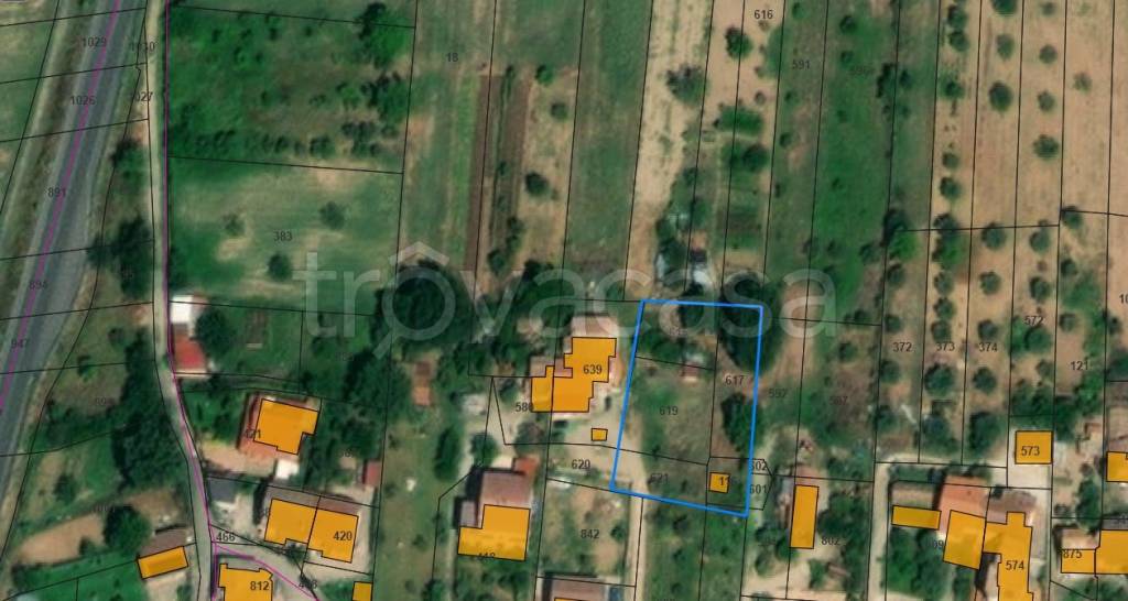 terreno agricolo in vendita a Montalto Uffugo in zona Sant'Antonello