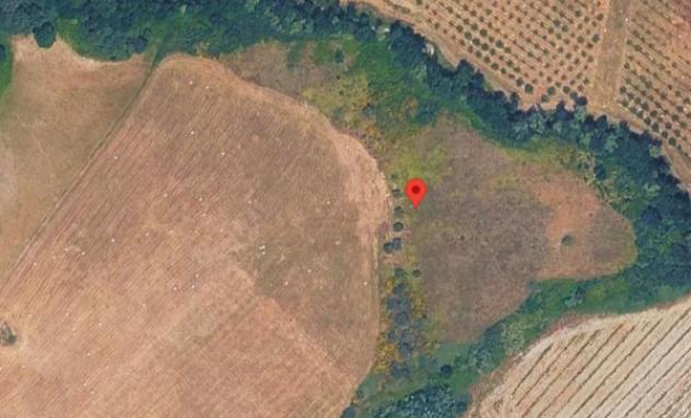 terreno agricolo in vendita a Montalto Uffugo in zona Vaccarizzo