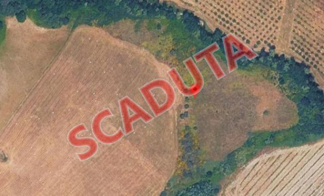 terreno agricolo in vendita a Montalto Uffugo in zona Vaccarizzo