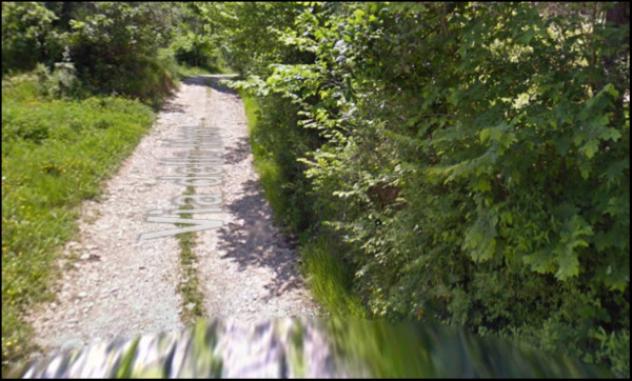 terreno agricolo in vendita a Montalto Uffugo in zona Vaccarizzo