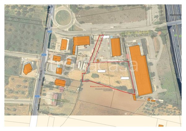terreno agricolo in vendita a Montalto Uffugo