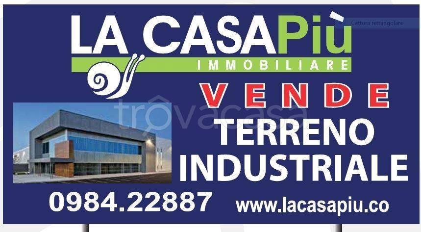 terreno agricolo in vendita a Montalto Uffugo