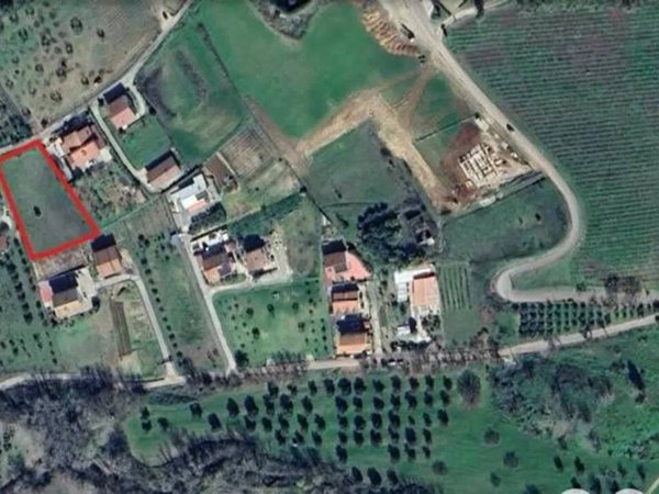 terreno agricolo in vendita a Montalto Uffugo