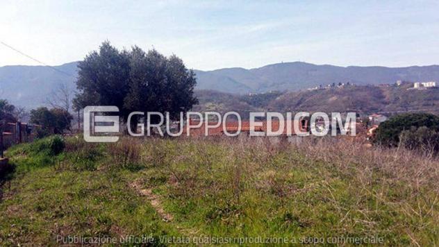 terreno agricolo in vendita a Montalto Uffugo