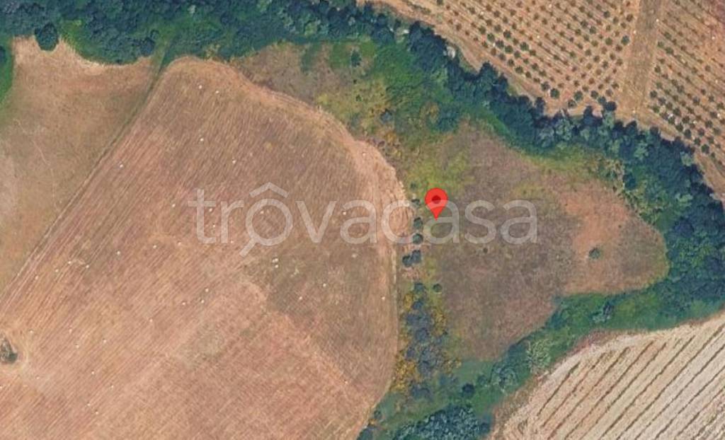 terreno agricolo in vendita a Montalto Uffugo in zona Vaccarizzo