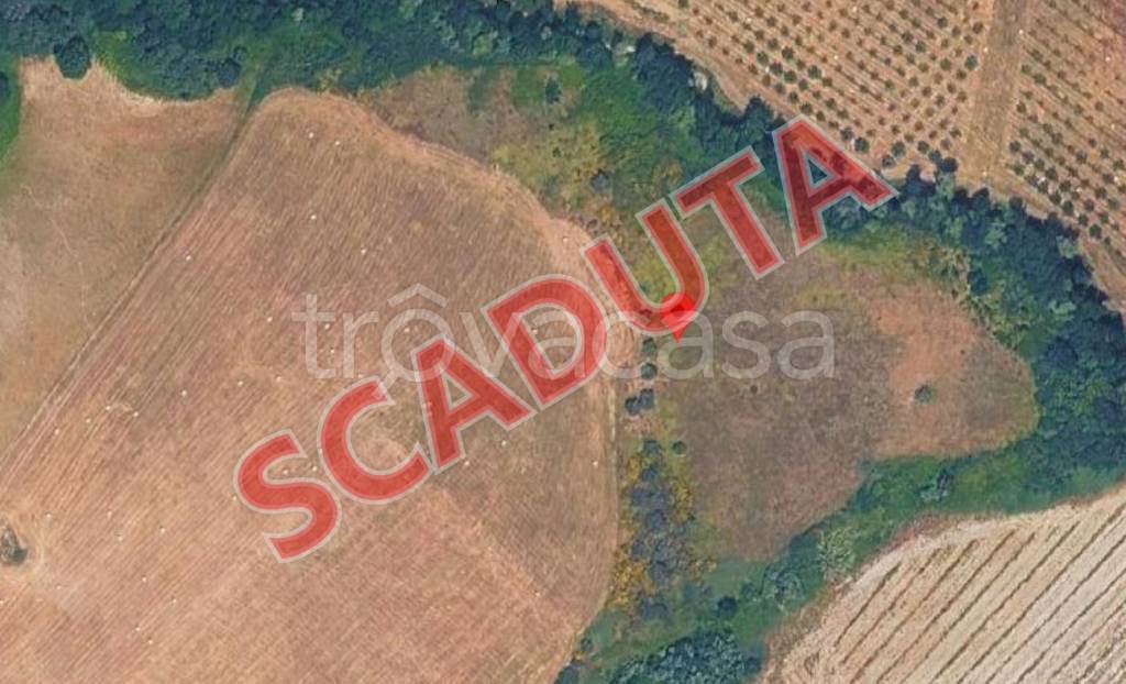 terreno agricolo in vendita a Montalto Uffugo in zona Vaccarizzo