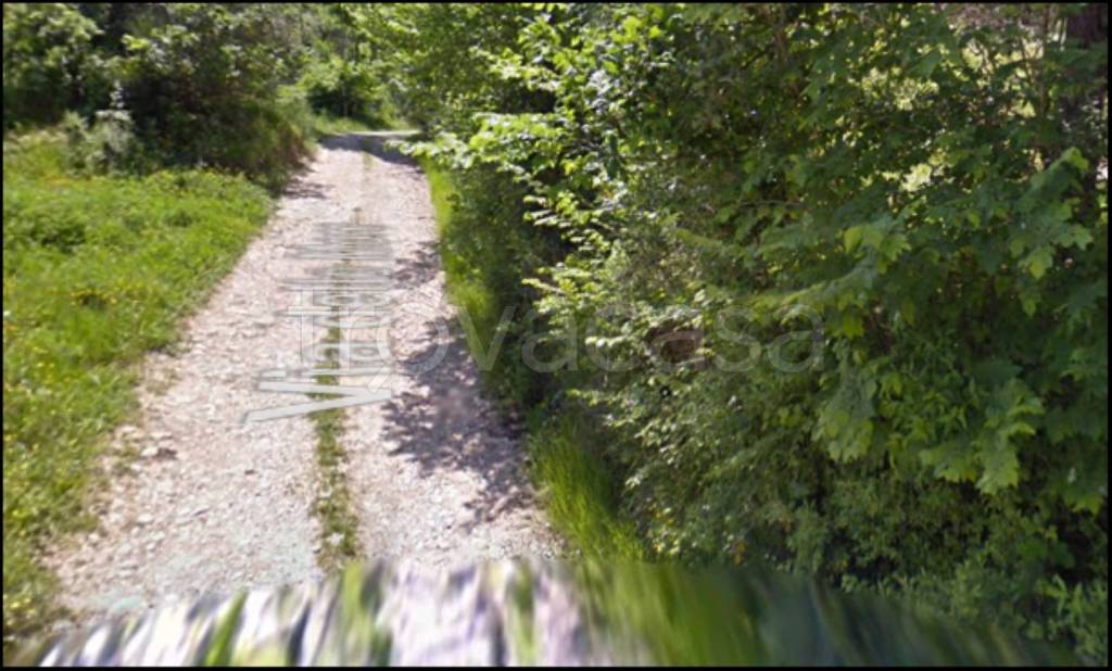 terreno agricolo in vendita a Montalto Uffugo in zona Vaccarizzo