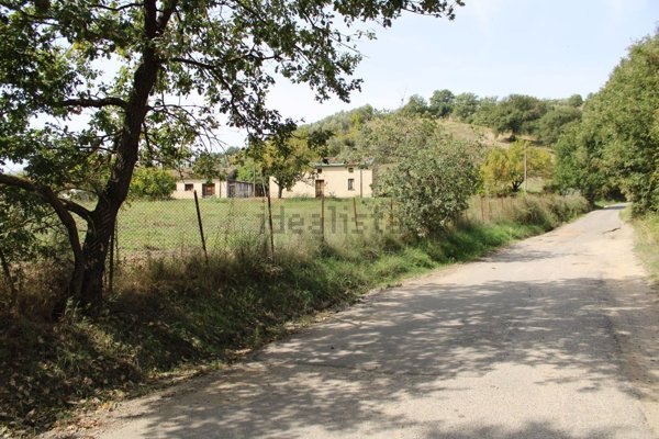 terreno agricolo in vendita a Montalto Uffugo