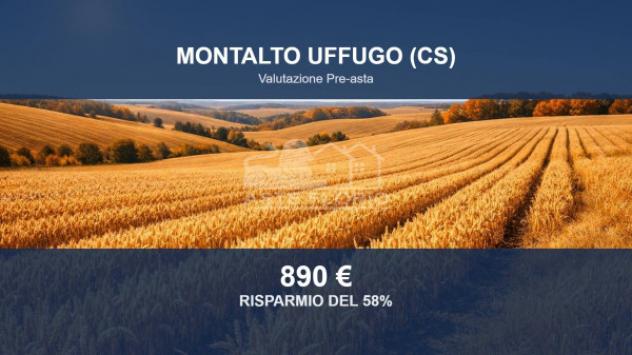 terreno agricolo in vendita a Montalto Uffugo