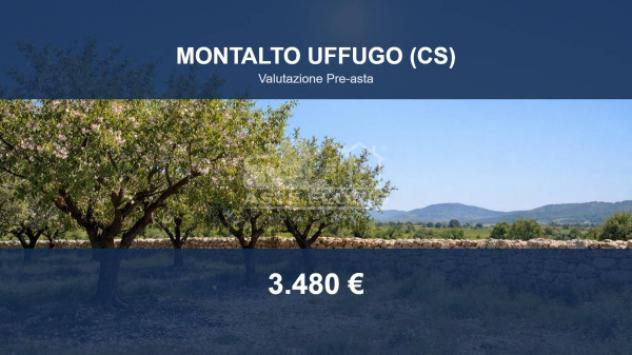 terreno agricolo in vendita a Montalto Uffugo