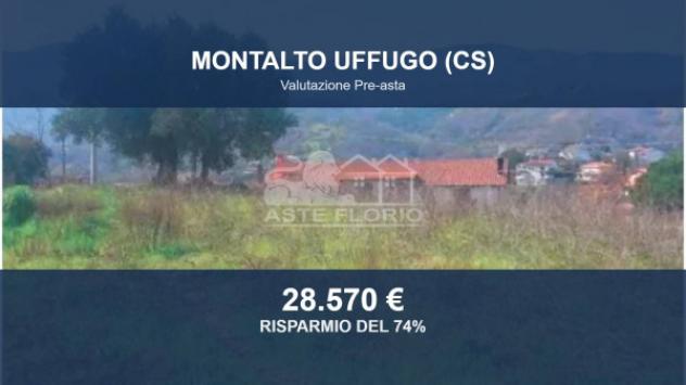 terreno agricolo in vendita a Montalto Uffugo