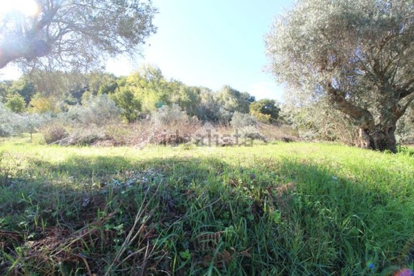 appartamento in vendita a Montalto Uffugo in zona Taverna