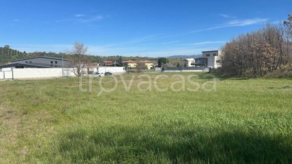 terreno agricolo in vendita a Montalto Uffugo in zona Taverna