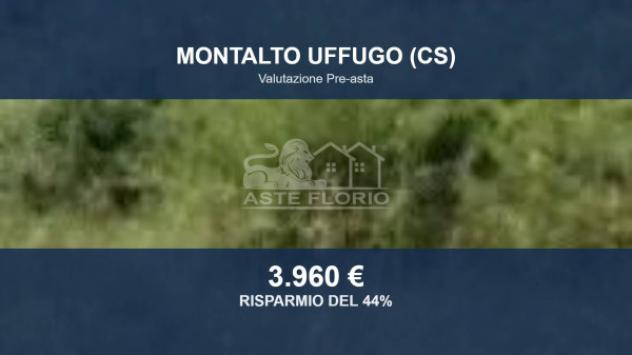 terreno agricolo in vendita a Montalto Uffugo in zona Salerni