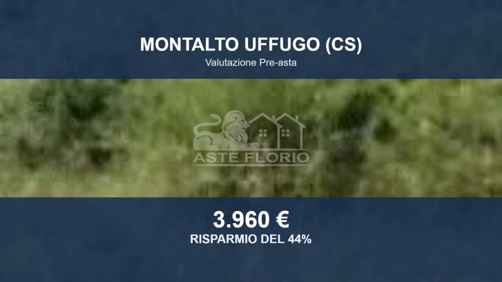 terreno agricolo in vendita a Montalto Uffugo in zona Salerni