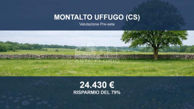 terreno agricolo in vendita a Montalto Uffugo