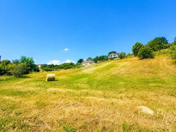 terreno agricolo in vendita a Montalto Uffugo in zona Settimo