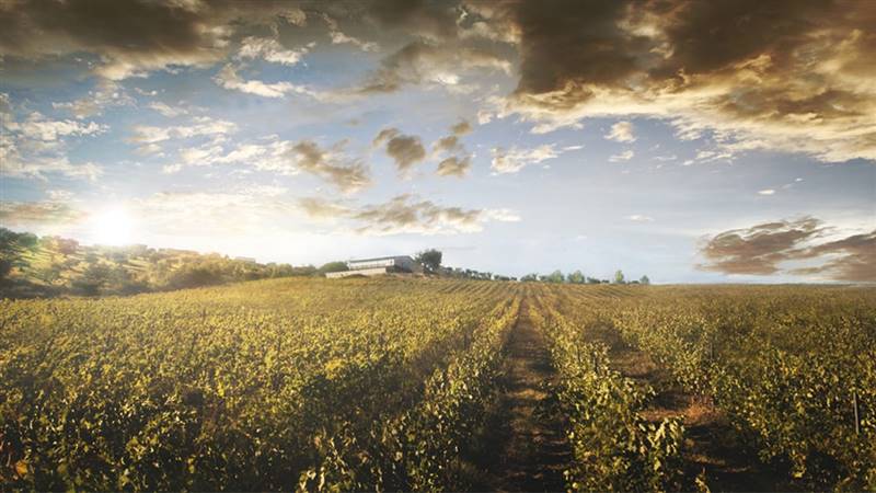 terreno agricolo in vendita a Montalto Uffugo