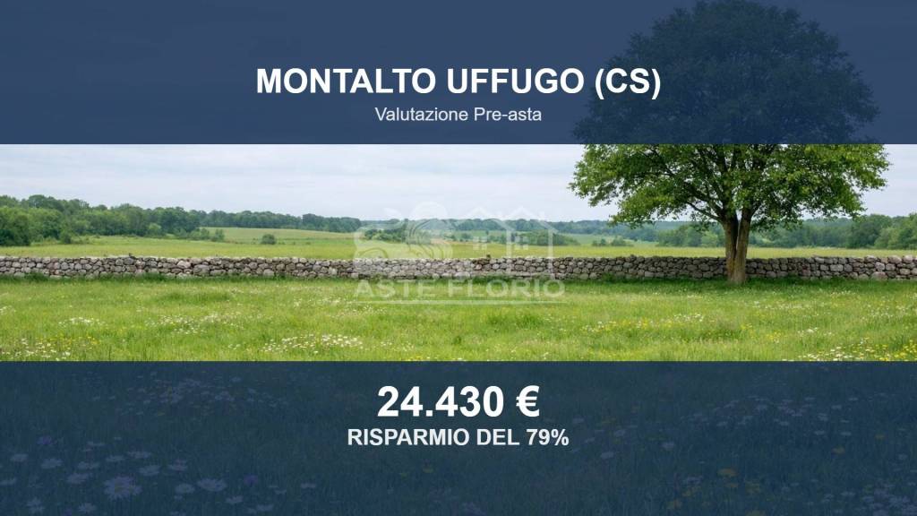terreno agricolo in vendita a Montalto Uffugo