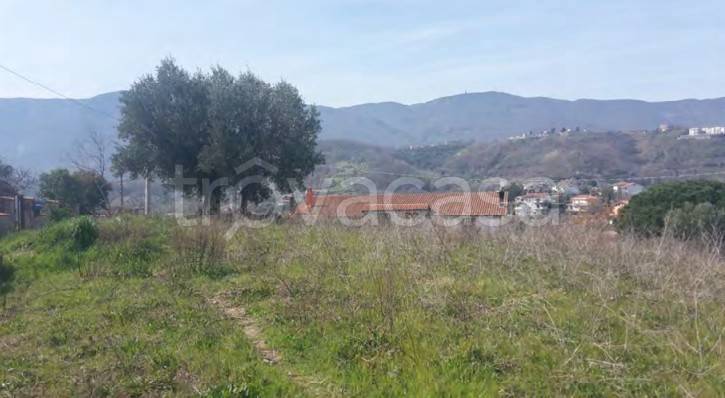 terreno agricolo in vendita a Montalto Uffugo in zona Lucchetta