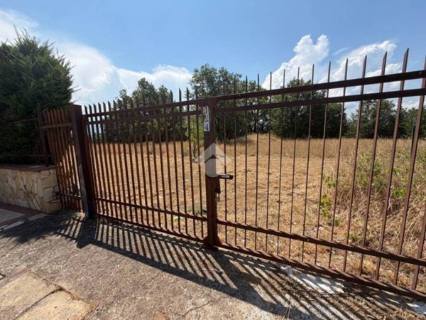 terreno agricolo in vendita a Montalto Uffugo in zona Salerni