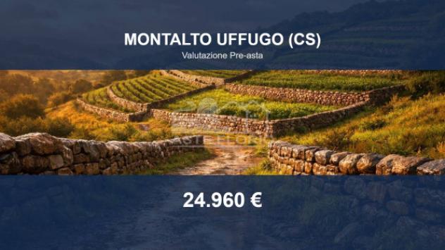 terreno agricolo in vendita a Montalto Uffugo in zona Sant'Antonello